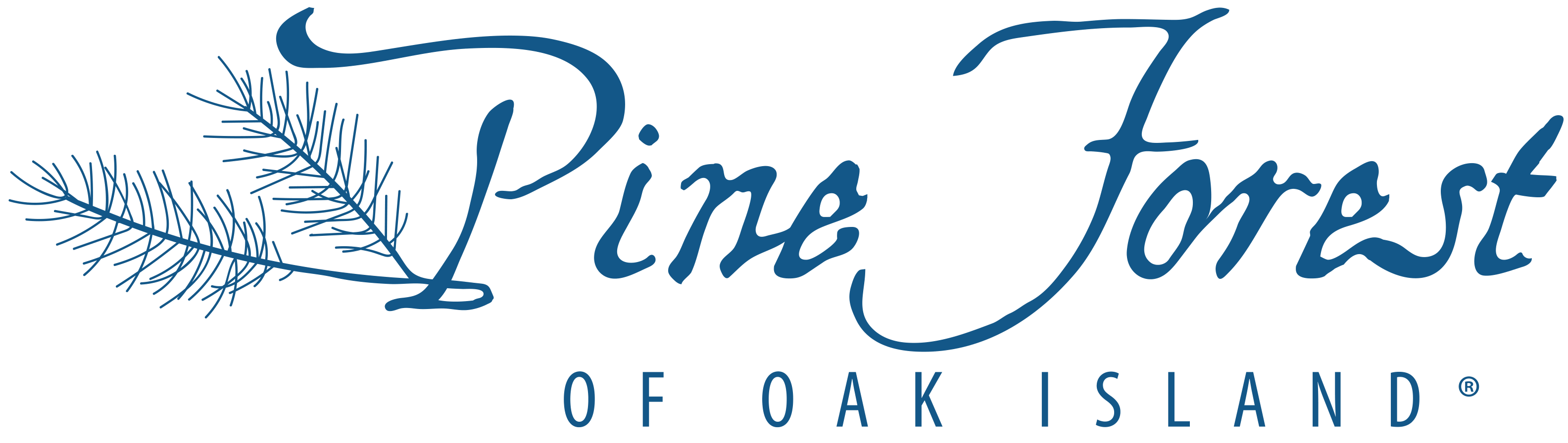 Pine Forest of Oak Island