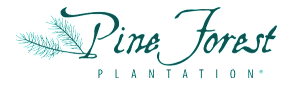 Pine forest plantation logo