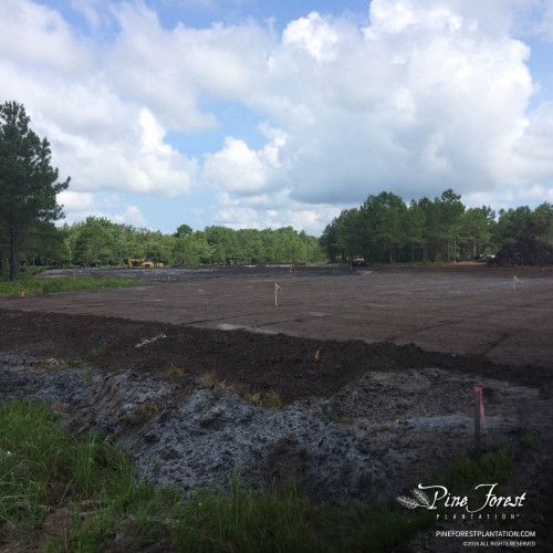 Construction progress at Pine Forest for the future Novant Health facility.