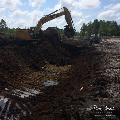 Infrastructure Earthwork at Pine Forest of Oak Island