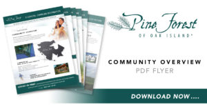 Pine Forest of Oak Island Community Overview PDF Flyer Download Facebook