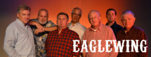 Eaglewing - Eagles tribute band