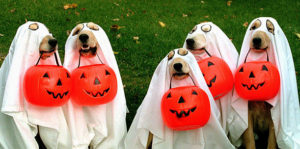 Howl-o-ween-Southport