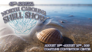 North-Carolina-Shell-Show