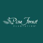 Pine Forest of Oak Island
